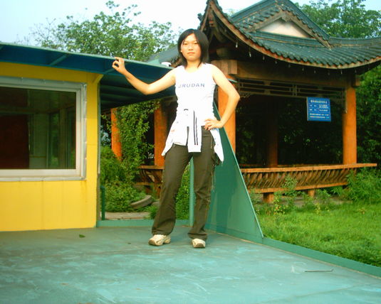 2006  (90)